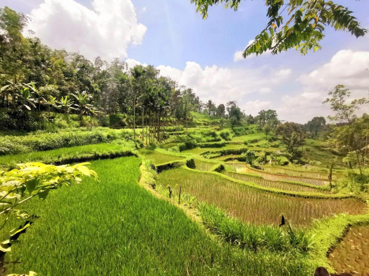 Tetebatu Sama Sama Bungalows Экстерьер фото